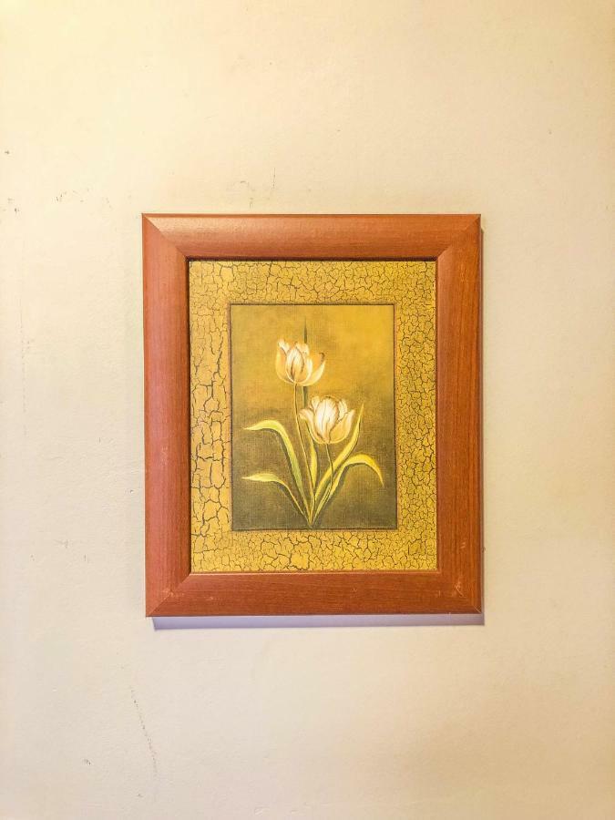 Tulipanos Vendeghaz Appartement Fertoszentmiklos Buitenkant foto